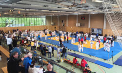 2. und 3. Platz Mannschaftswertung U9/U7 in Brandenburg